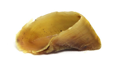 Natural Cow Hooves for Dogs