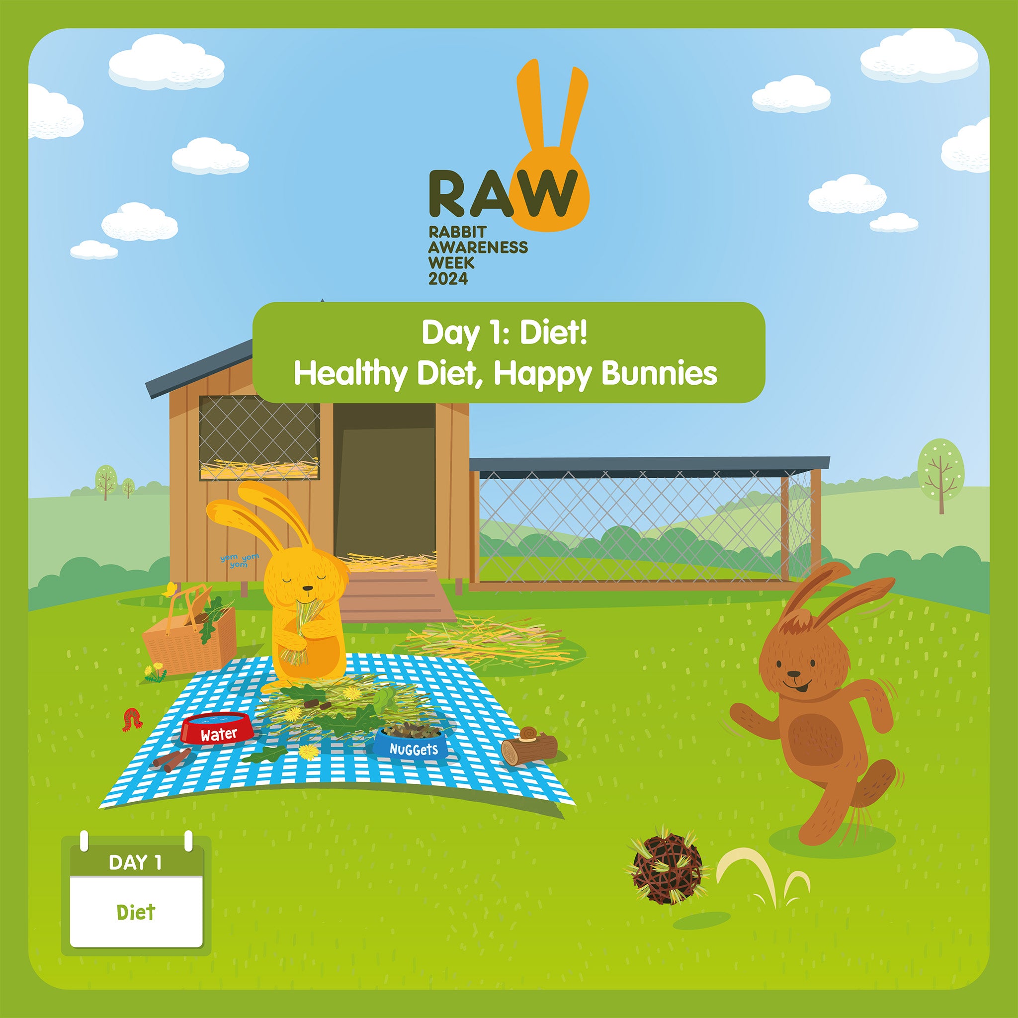 It's day one of Rabbit Awareness Week 2024 Pet Storehouse