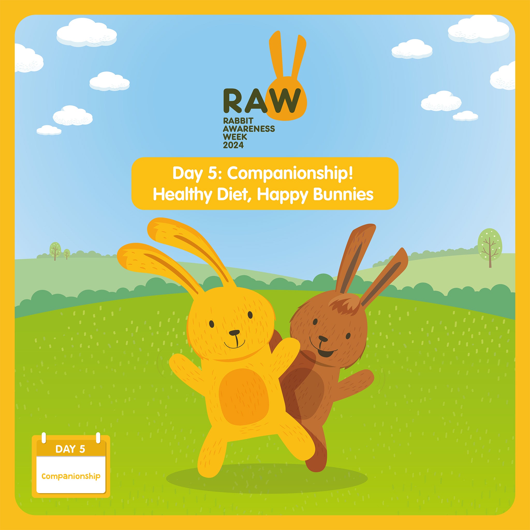 It's day five of Rabbit Awareness Week 2025 Pet Storehouse