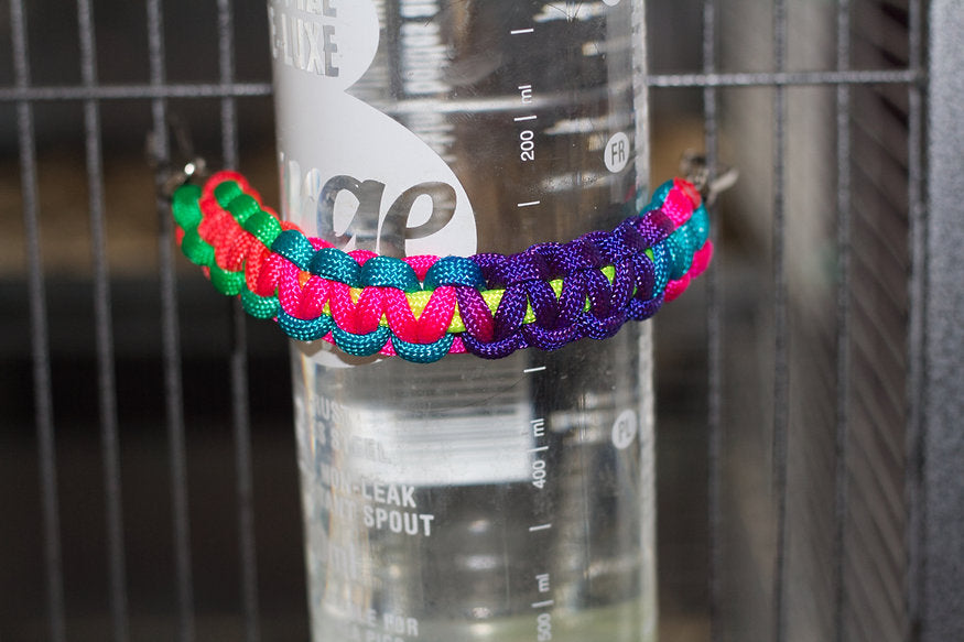 Water Bottle Holder