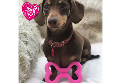 Ancol Small Bite Soft Bone