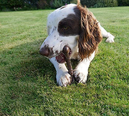 Rosewood Beef Nylon Bone Dog Chew