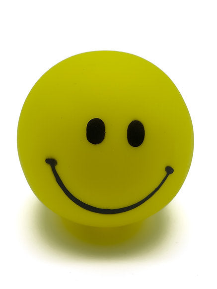 Classic Smile Squeaky Dog Toy