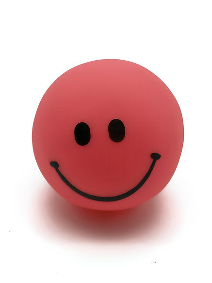 Classic Smile Squeaky Dog Toy