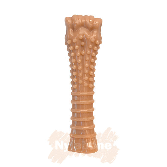 Nylabone Extreme Bone – Xtra Large