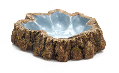 Pawprint Reptile Shallow Dish
