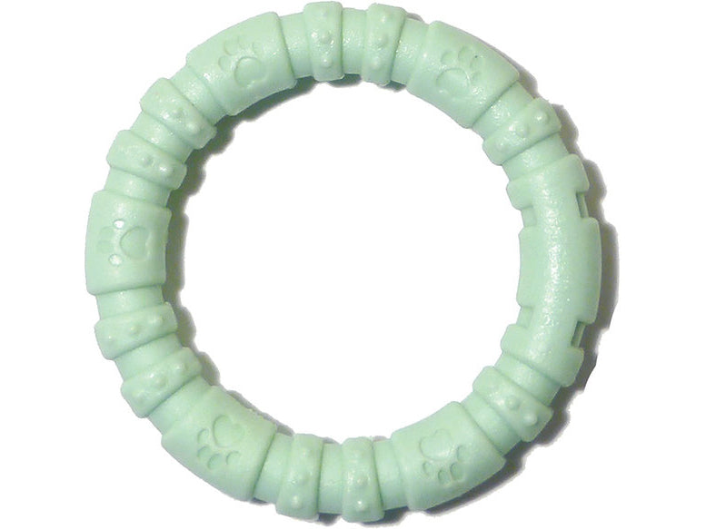 Rosewood Mint Nylon Dog Chew Small