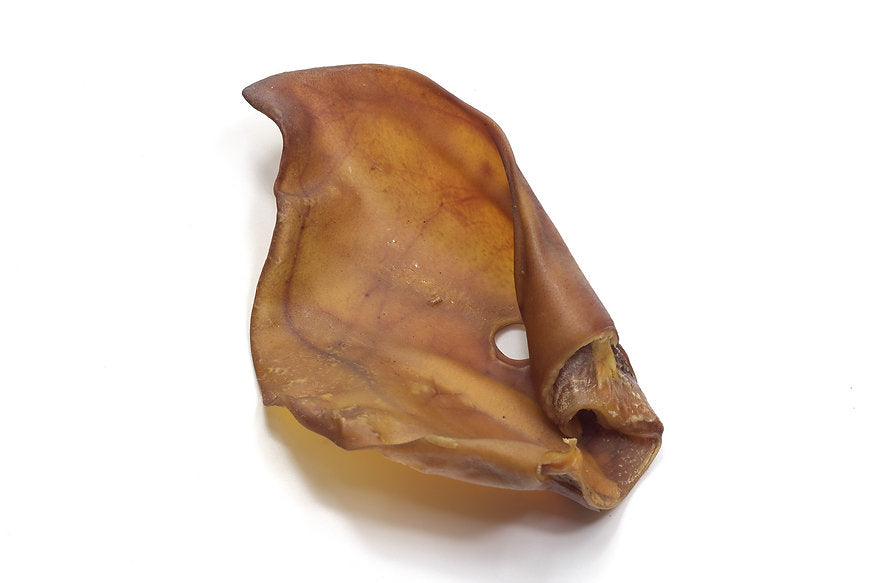 Pigs Ear