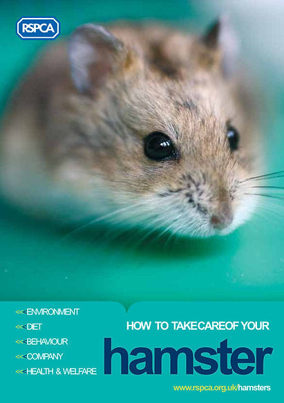 Hamster Starter Kit