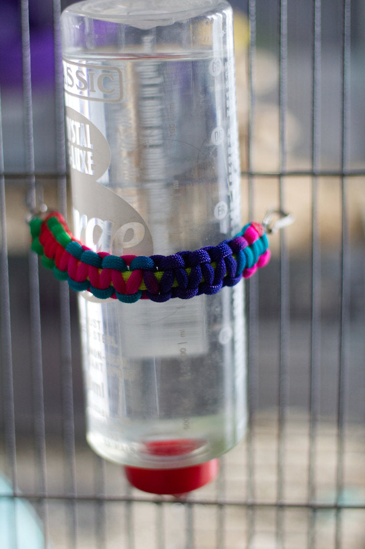 Water Bottle Holder