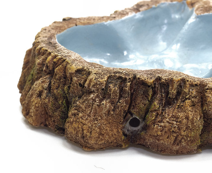 Pawprint Reptile Shallow Dish