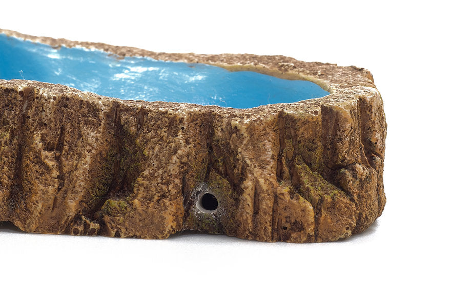 Footprint Reptile Shallow Dish