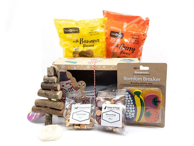 Hamster Christmas Eve Gift Box Bundle