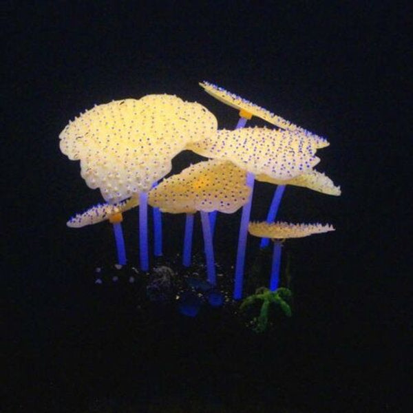 Classic Aqua Lumo Sea Anemone Plant