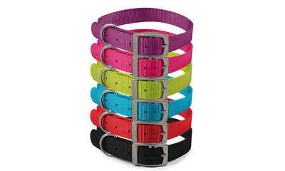 Ancol Nylon Collar Lime