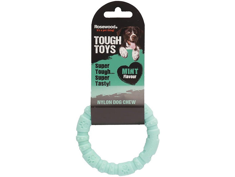 Rosewood Mint Nylon Dog Chew Small