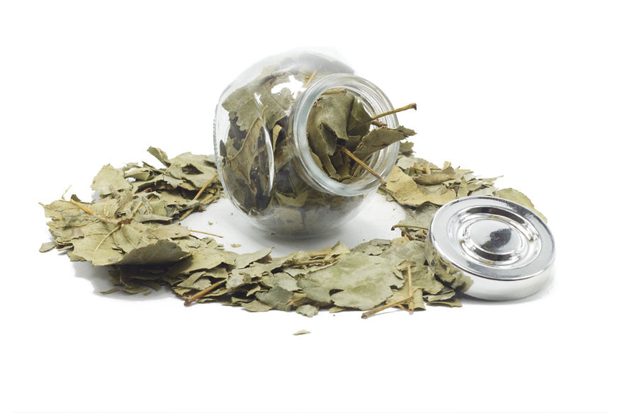 Jar of Apple Leaves