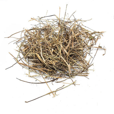 A pile of dried nettle stalks
