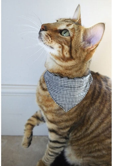 Rosewood Designer Dogtooth Cat Bandana