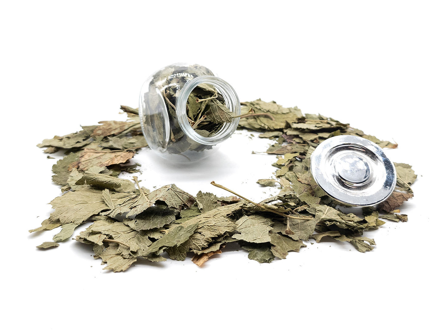 Blackcurrant Leaves | Fine Cut | Hay Topper