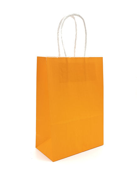 Colourful Paper Gift Bag