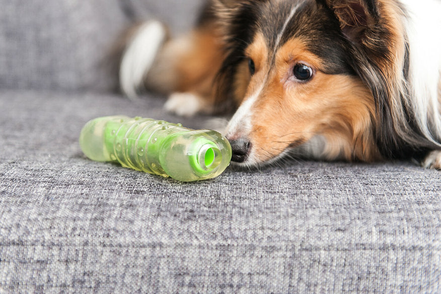 Crunchcore Bone Dog Chew Toy - Small