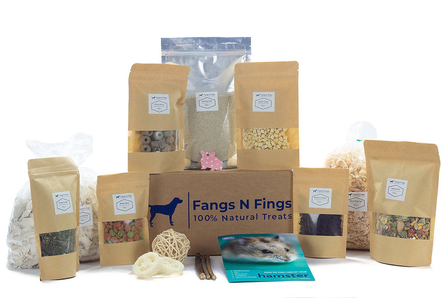 Illustration of Family Hamster Starter Kit With Wheel
