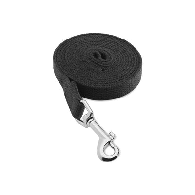 Mikki I'll come Back Recall Training Lead