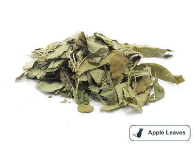 A pile of Apple Leaves