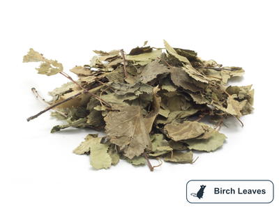 A pile of birch leaves