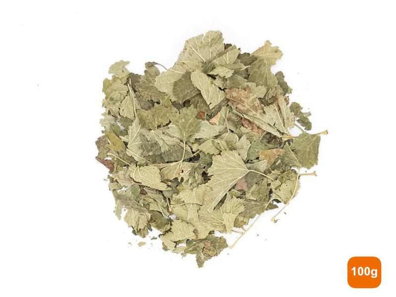 Blackcurrant Leaves | Fine Cut | Hay Topper