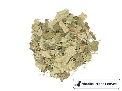 Blackcurrant Leaves | Fine Cut | Hay Topper