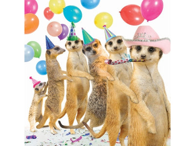 Group of meerkats wearing party hats with colorful balloons in the background