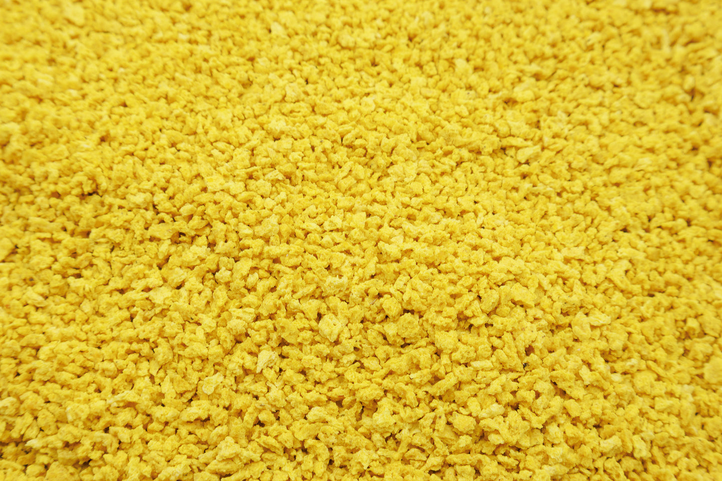 Close up of Egg Biscuit