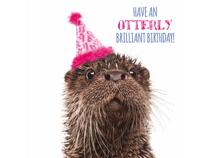 Otter wearing a birthday hat with text 'Have an otterly brilliant birthday!' on a white background