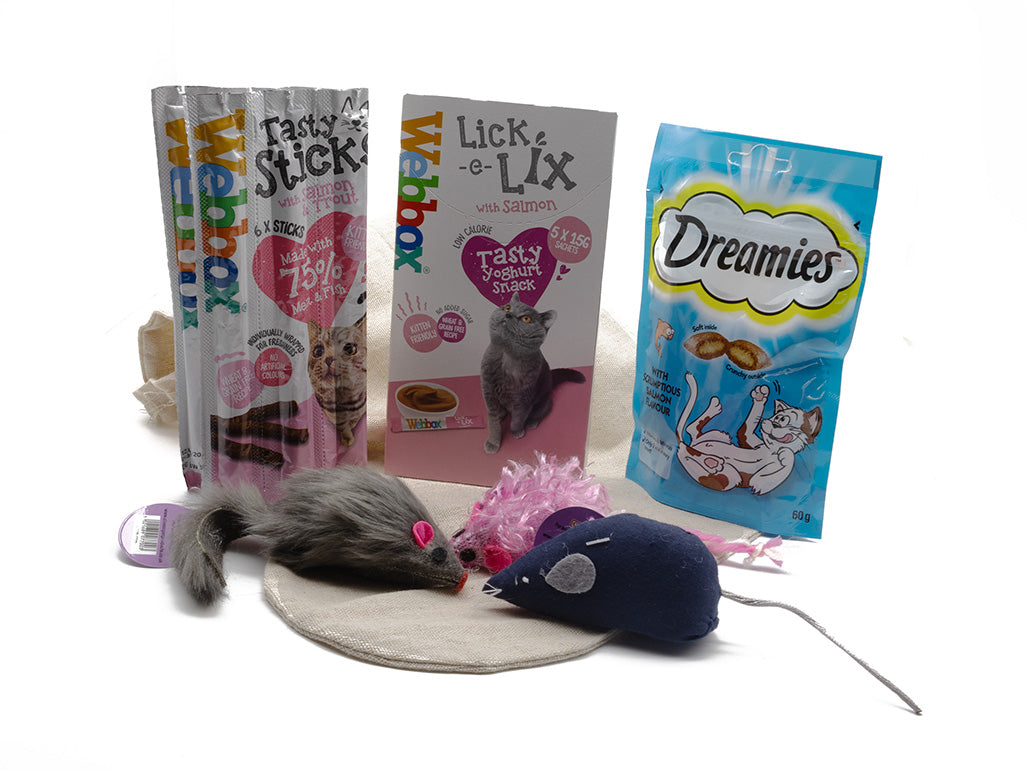 Kitty Khristmas Kit (Salmon)