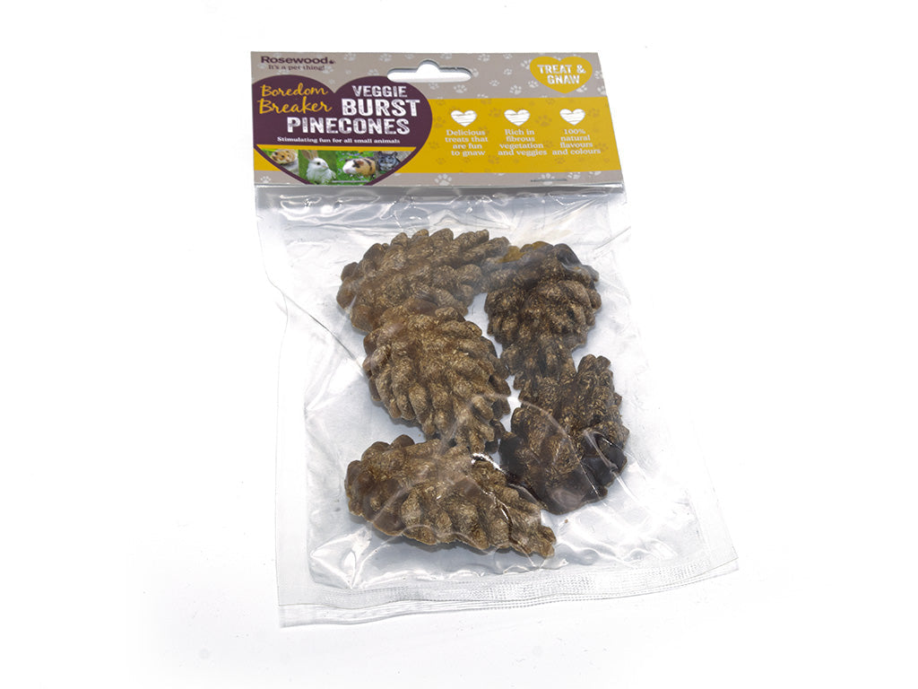 Rosewood Veggie Burst Pinecones