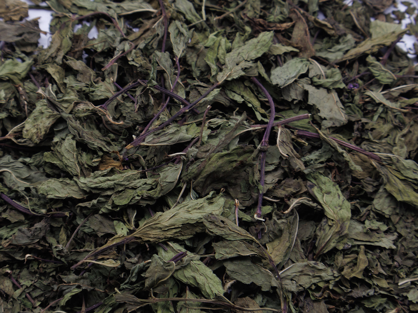 Close up of spearmint leaves