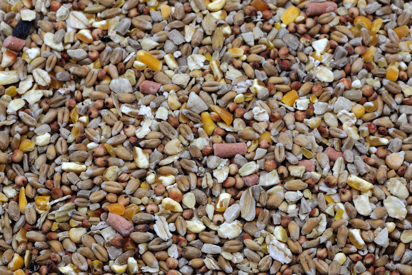A close up of No grow No Mess Wild Bird Seed