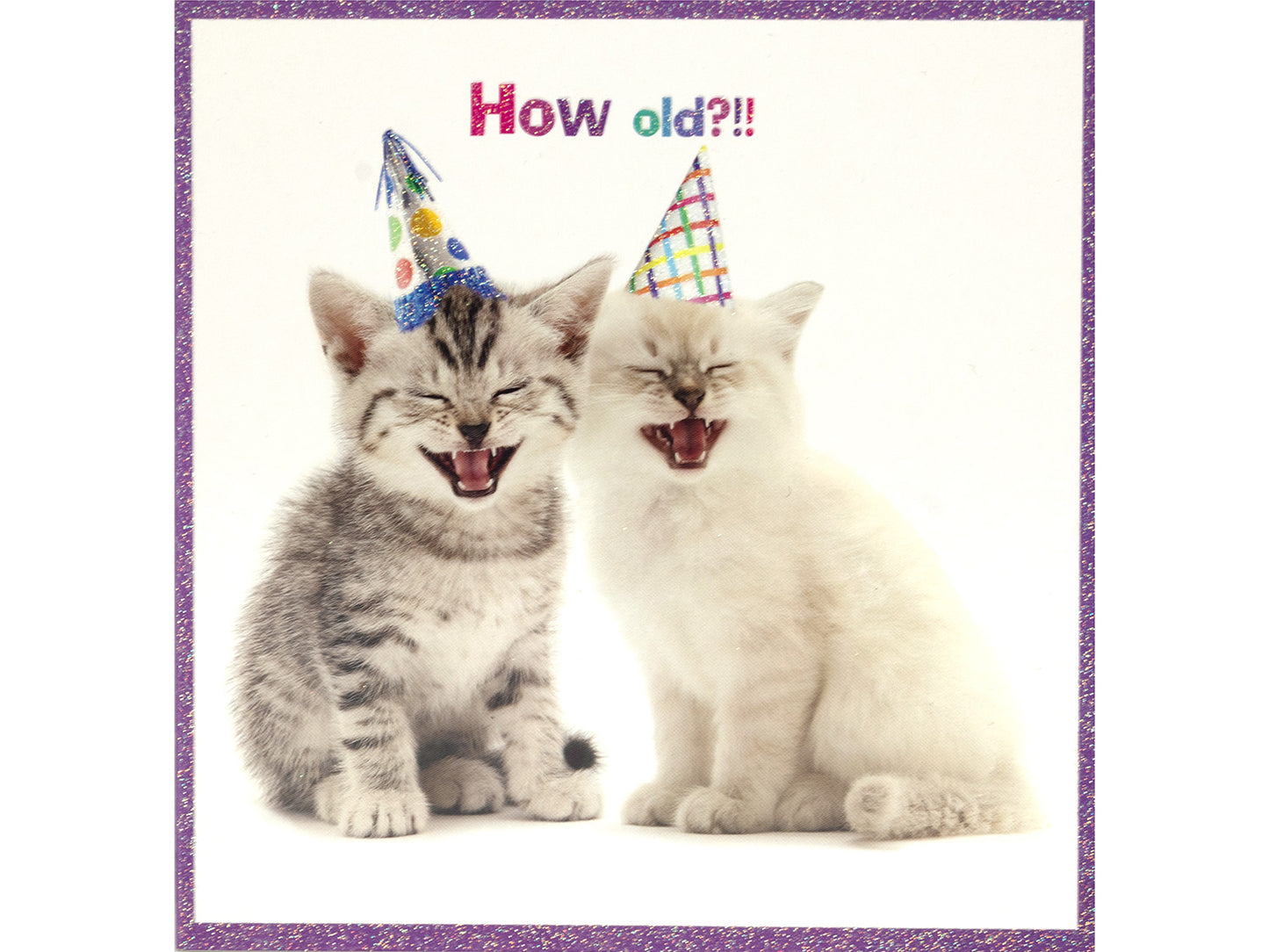 Two kittens wearing party hats with the text 'How old?!!' on a white background.
