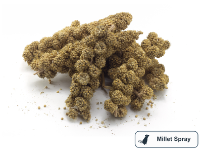 A pile of millet spray