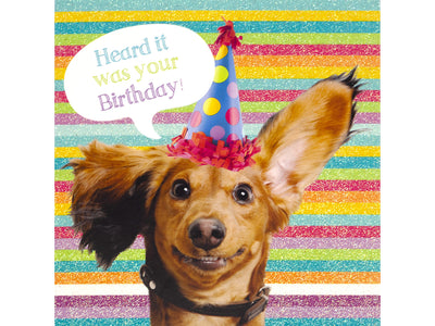 Dog wearing a party hat with a birthday message on a striped background