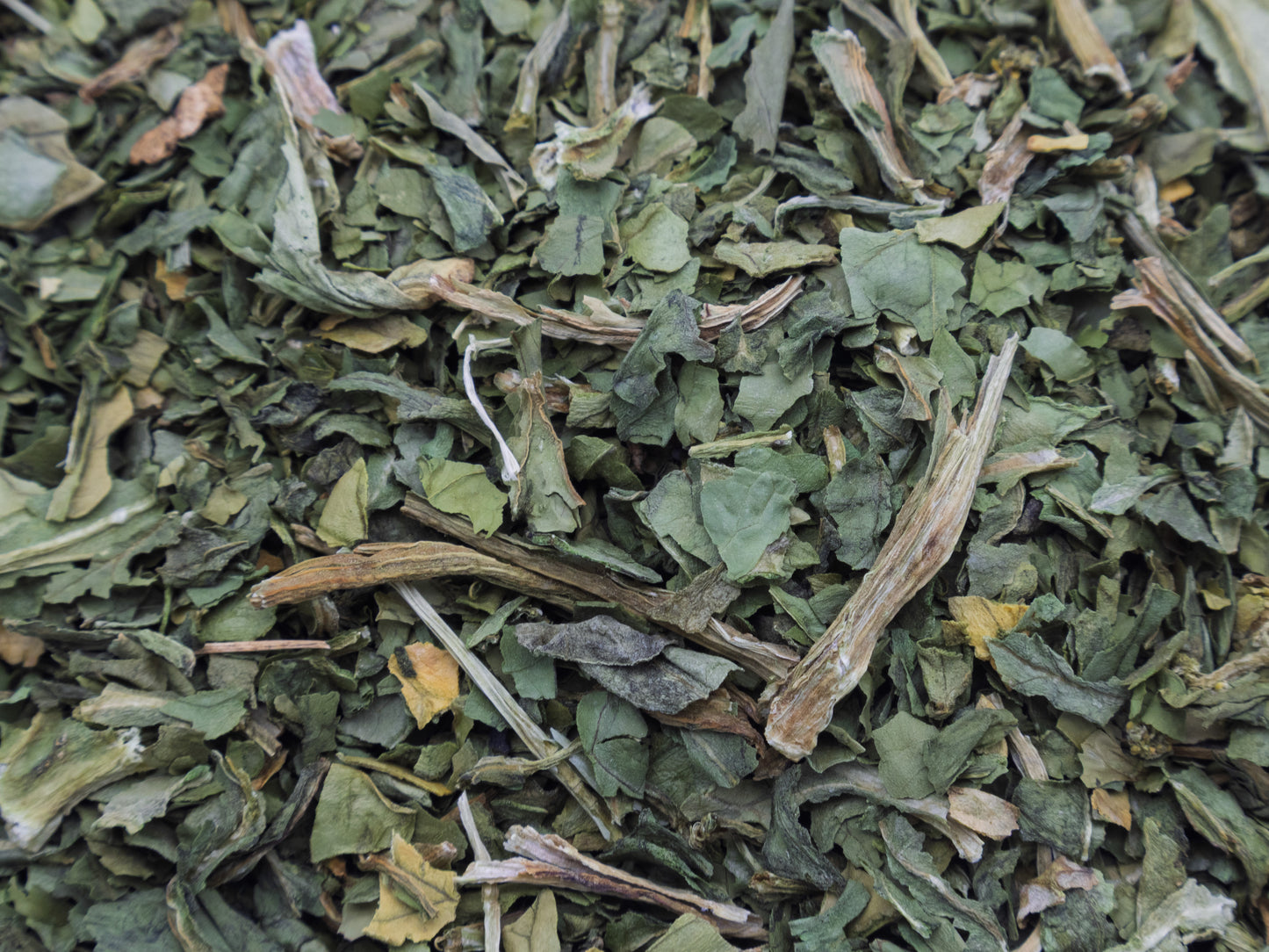A clos up of Spinach Leaves & Stalks