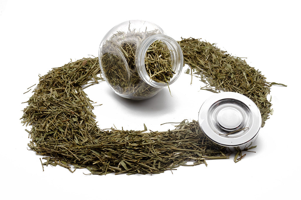 A Jar of Tarragon Stalks