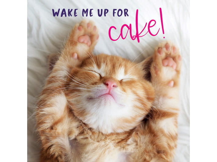 Cat lying on its back with 'Wake Me Up For Cake!' text above