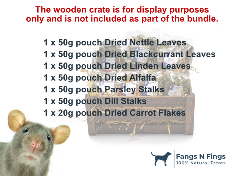Guinea Grub - Guinea Pig Forage Treat Box