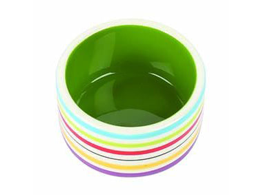 Rainbow Pet Bowl