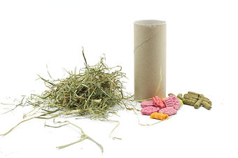 How to make a treat toy for your rabbit or guinea pig