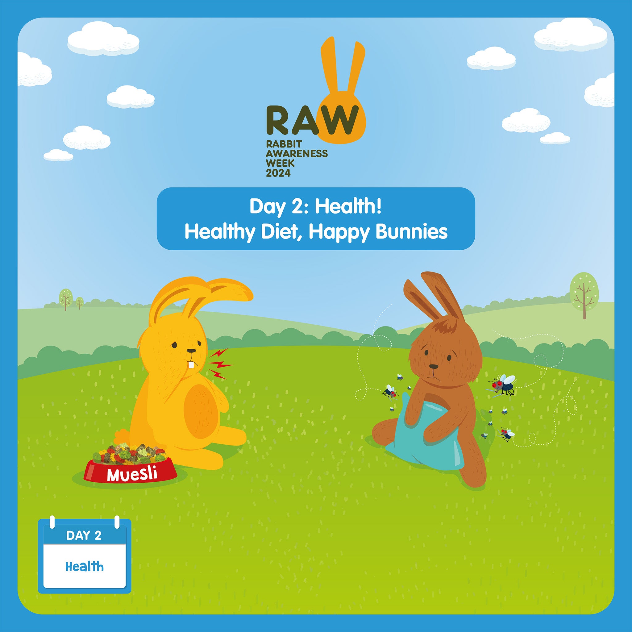 It's day two of Rabbit Awareness Week 2024 Pet Storehouse