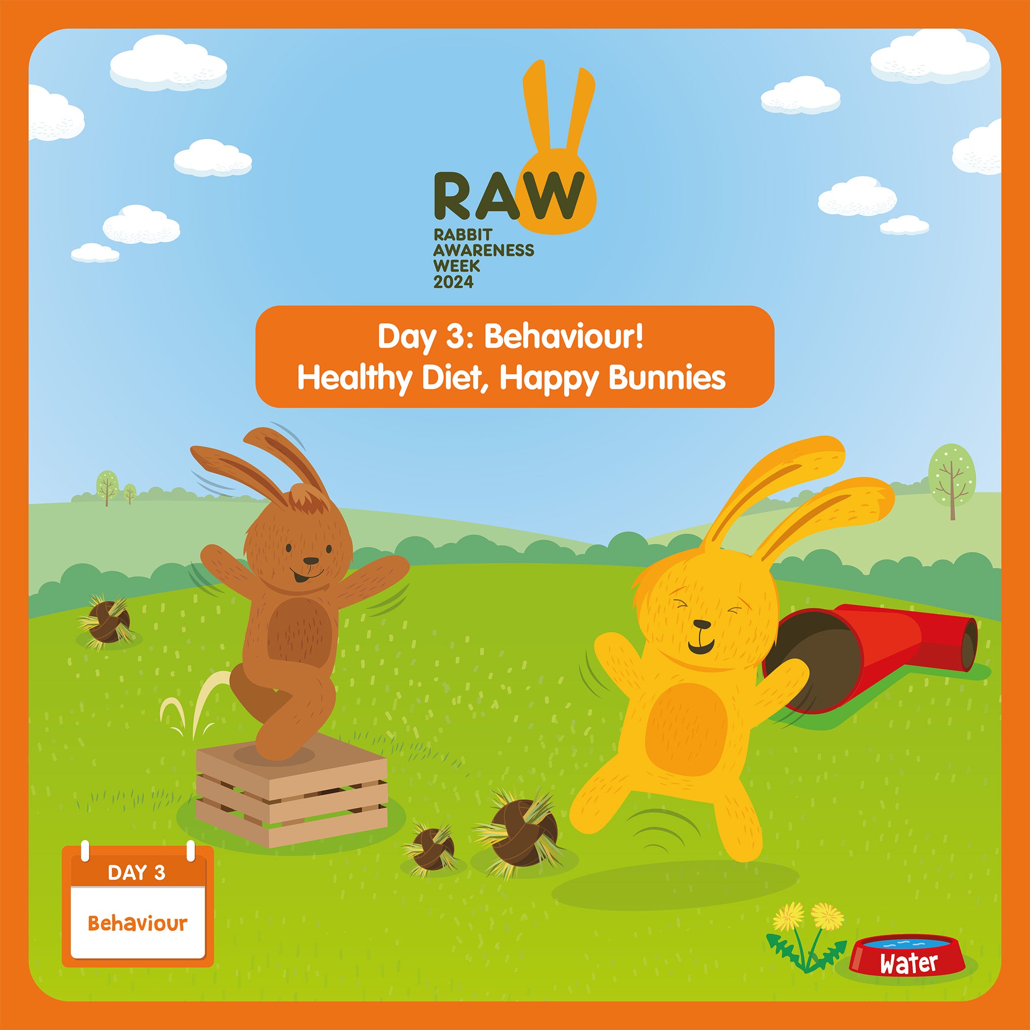 It's day three of Rabbit Awareness Week 2025 Pet Storehouse